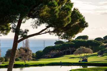 A golf course with a clap of trees with a large pine tree in the foreground with a car with two golfers against a blurred background of the sea and sky.