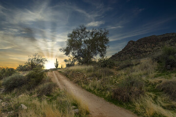 Arizona Desert Landscape with Sun Rays