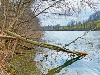 The Reuss River between the Hermetschwil Monastery (Kloster Hermetschwil) and the hydroelectric dam...