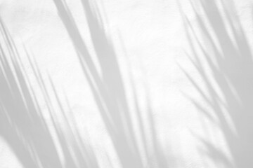 Leaves natural shadow overlay on white texture background, for overlay on product presentation, backdrop and mockup, summer seasonal concept