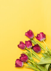 Pink tulip flowers bouquet on yellow background. Flat lay, top view.