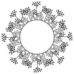 Angelica, frame, border