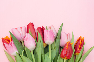Bouquet of pink and red tulips on a pink background. Place for your text. Top view 