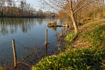 Early morning lights of dawn on the lake shore. Parc de la Tete d'Or is one of the larger city park in France