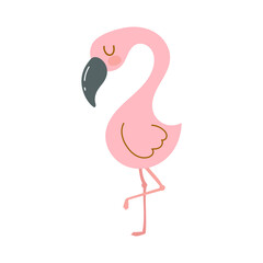 little flamingo on the white background