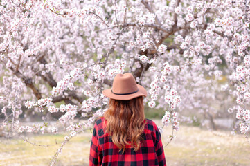 Woman's back in front of a blossom pink almond tree