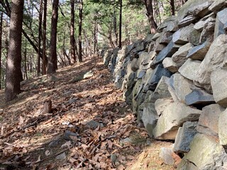 숲속 돌담길