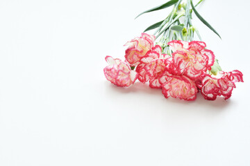 カーネーション　花束

