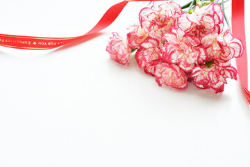 カーネーション　花束

