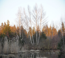 Moorlandschaft Eulenau im Spätwinter