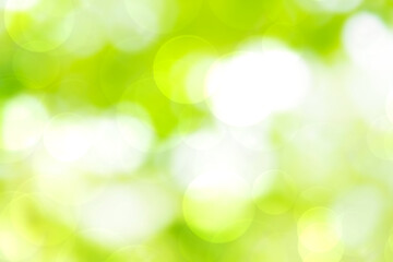 Green bokeh blurred background 