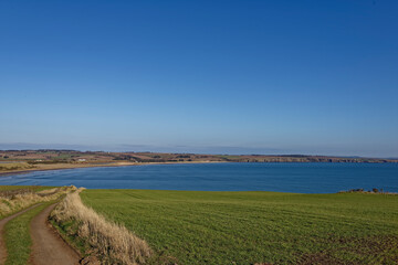 A small track cutting through Farmland and recently sown Fields of grass with the view of Lunan Bay...