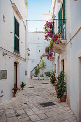 Fototapeta na wymiar narrow alley in the picturesque oldtown of Locorotondo, Puglia