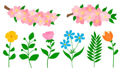 Spring plants flowers leaves vector illustration	
