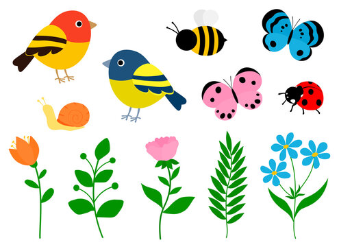 Set spring flowers birds insects vector illustration