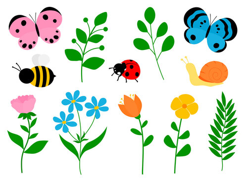 Set spring flowers insects vector illustration