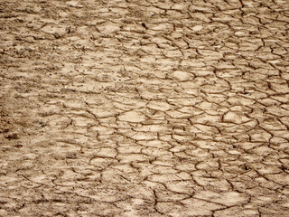 干上がった池のひび割れた土