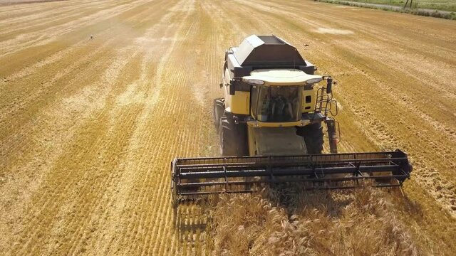 Aerial view of combine harvester harvesting large ripe wheat field.