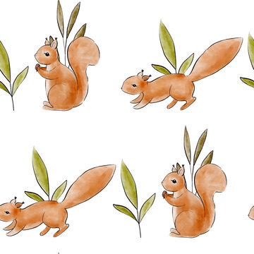 Watercolor seamless pattern of squirrel ans floral