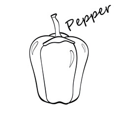 Linear vector vegetable icon, great design for any purposes. Isolated vector illustration. Vector drawing. Flat abstract design. Abstract concept. Design element. Black outline. Abstract icon. Pepper.