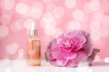 Cosmetic yellow oil with a bud of decorative cabbage. Bokeh pink background. The concept of skin care.
