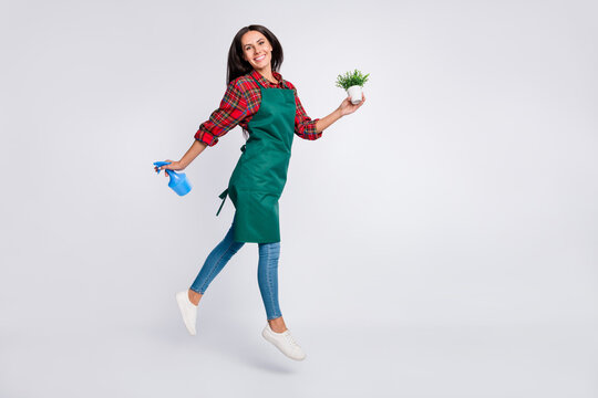 Full body profile side photo of brunette young woman wear jeans hold plant pulverizer isolated on grey color background
