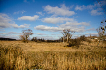 Obraz premium grass and sky