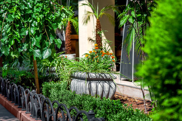 stone flower pot with flowers in a flower bed with bushes and trees sprinkled with tree bark...
