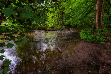 forest river in Altenberg, Germany.