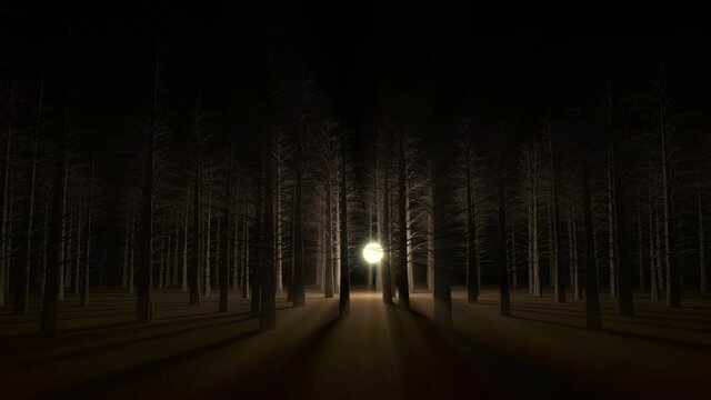 Unknown flying glowing sphere flies through the night forest. 4K Animation