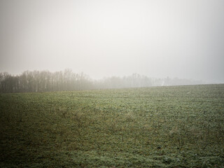 Amazing foggy field like from the other world. Mystic and deep foggy mood.