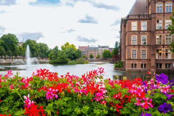 Fototapeta na wymiar beautiful spring flowers on the edge of the lake near dutch parliament building in The THe Hague Netherlands