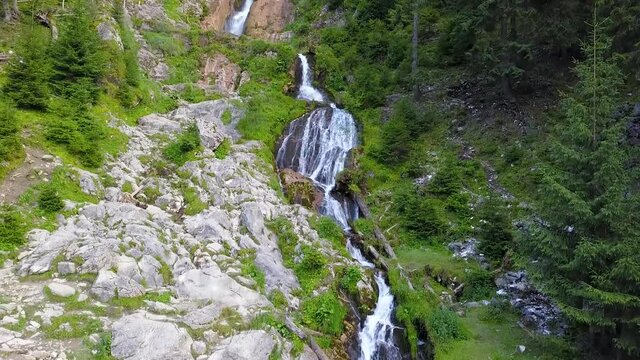 Ascending along Cascada Cailor waterfall, located in Rodna Mountains. The huge cascade forms numerous steps over which the mountain stream flows rapidly, along mossy rocks and spruce trees. Romania.
