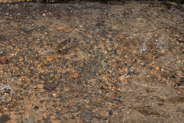 大阪城公園　大阪　日本