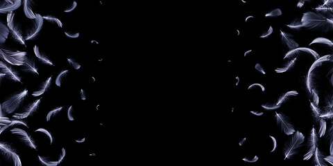 Feather isolated. Abstract bird feather texture closeup falling on dark background in pattern...