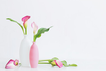 beautiful pink flowers in vases  on white background