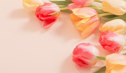Fototapeta na wymiar yellow and red tulips on beige background