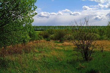 Obraz na płótnie Canvas rural landscape on a cloudy spring day
