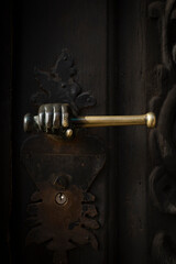 Fototapeta na wymiar Beautiful architectural detail. Detail of the door, very special handle.