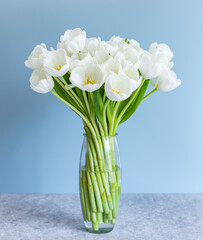 White tulips in transparent vase on color background. Spring concept. - 419590075