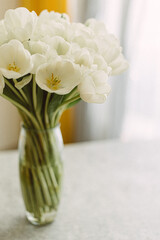White tulips in transparent vase on color background. Spring concept. Retro film grain picture