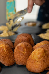 présentation de madeleines petites pâtisseries fait maison