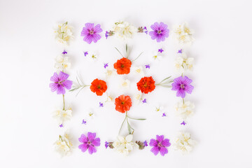 Fototapeta na wymiar Spring frame of small flowers , floral arrangement