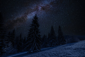 Snowy forest and stars in night sky