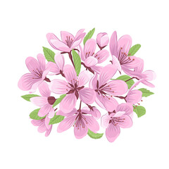 Cherry blossom bouquet vector illustration. Pink flower chaplet isolated on white background.