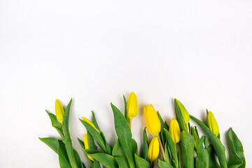 yellow flowers tulips and roses on a white background