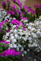 Bouquet of white flowers and small roses. Spring flowers wallpaper. Immortal