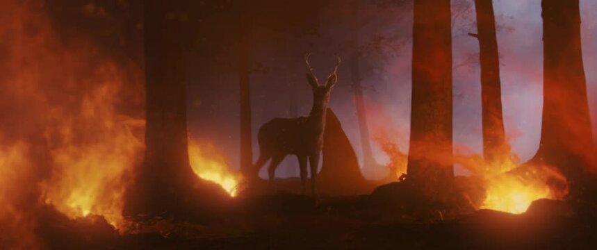 Deer standing in a burning forrest