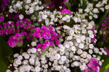 Bouquet of white flowers and small roses. Spring flowers wallpaper. Immortal