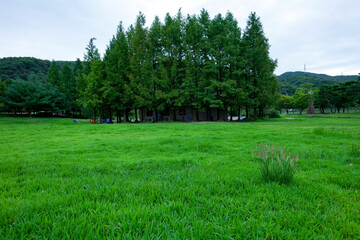 Park in Korea: People enjoying a break at Yuldong Park
